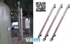 磁翻板液位計(jì)及液位開關(guān)在600MW機(jī)組防汽輪機(jī)進(jìn)水系統(tǒng)的改造的應(yīng)用